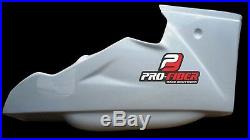 2006-2012 Triumph Daytona 675 Race Bodywork Fairing Tail Fuel Tank Track 06-12