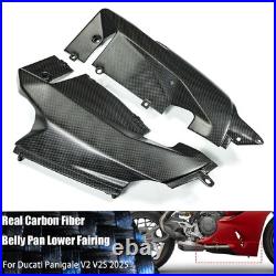 For DUCATI Panigale V2/S 2025-26 Carbon Fiber Fender Tank Fairing Swingarm Cover