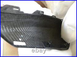 New Indian carbon fiber tank covers for FTR 1200