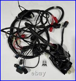 Scooter Chuma Tank 200 Maxuma Carbon Armor Gy7 Carbon Fiber Wire Harness Efi