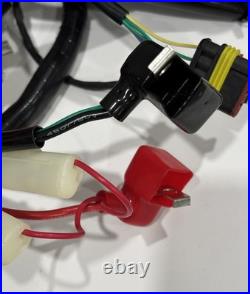 Scooter Chuma Tank 200 Maxuma Carbon Armor Gy7 Carbon Fiber Wire Harness Efi